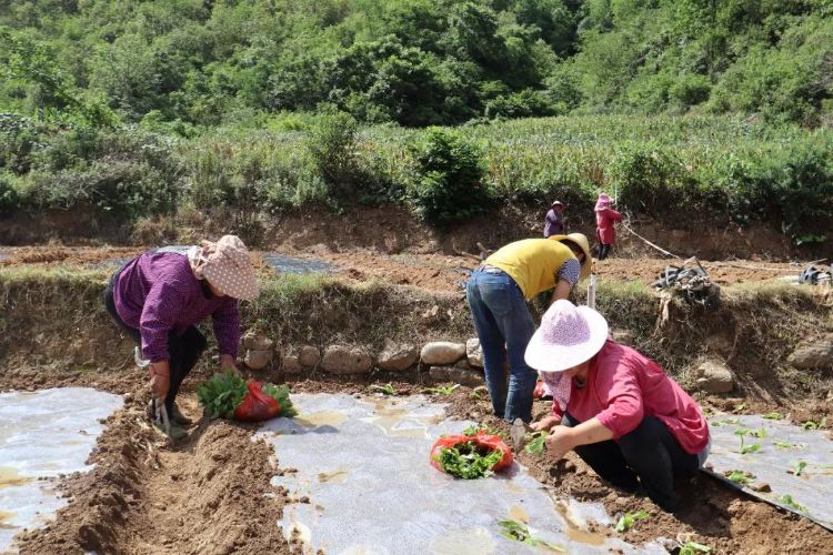 {xunruicms_img_title} {xunruicms_img_title}