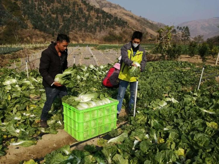 {xunruicms_img_title} {xunruicms_img_title}